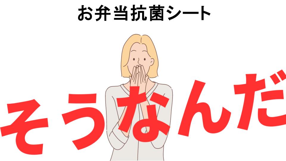 意味ないと思う人におすすめ！お弁当抗菌シートの代わり